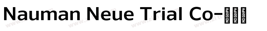 Nauman Neue Trial Co字体转换